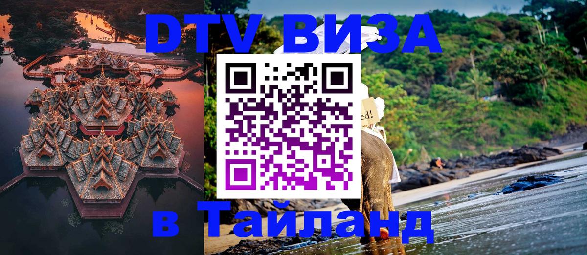 Оформление DTV визы под ключ: стоимость и тарифы, только загранпаспорт - 